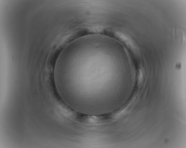 X0000095120229200712071247