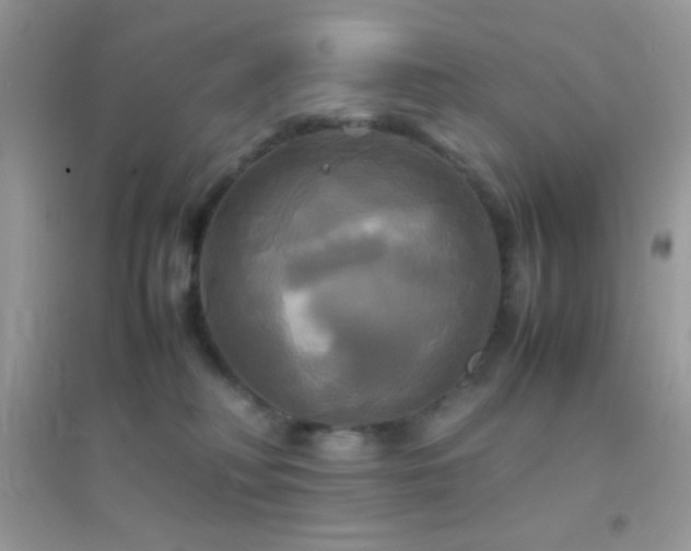 X0000095120230200712071247