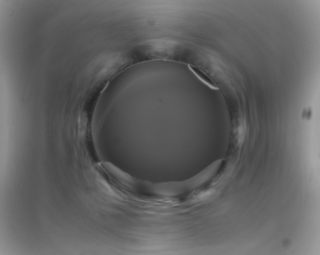 X0000095120231200712071247