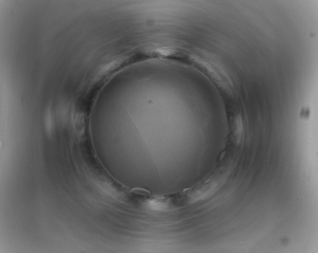 X0000095120232200712071247