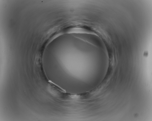 X0000095120233200712071247