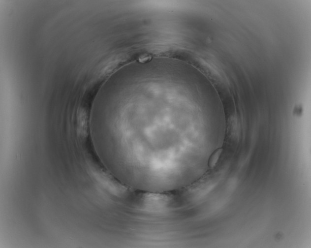 X0000095120234200712071247