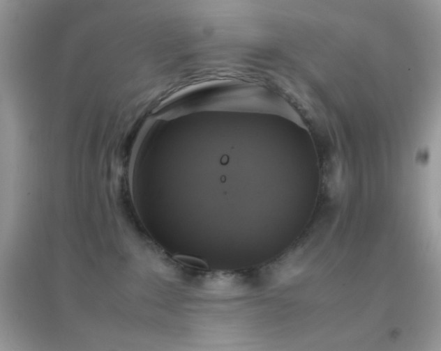 X0000095120235200712071247