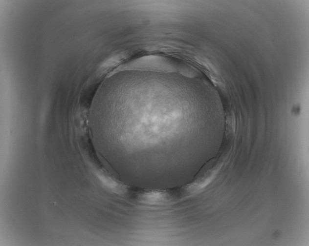 X0000095120237200712071247