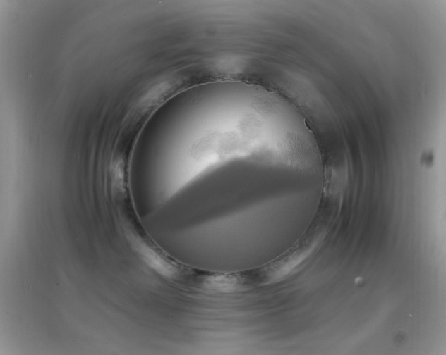X0000095120238200712071247