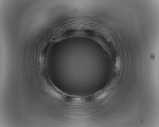 X0000095120239200712071247