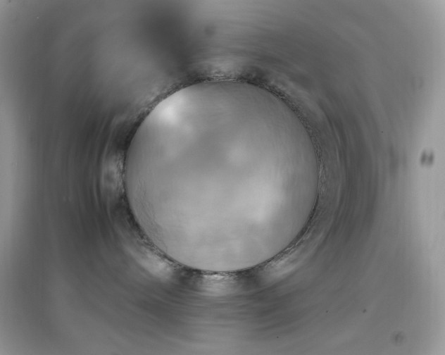 X0000095120240200712071247
