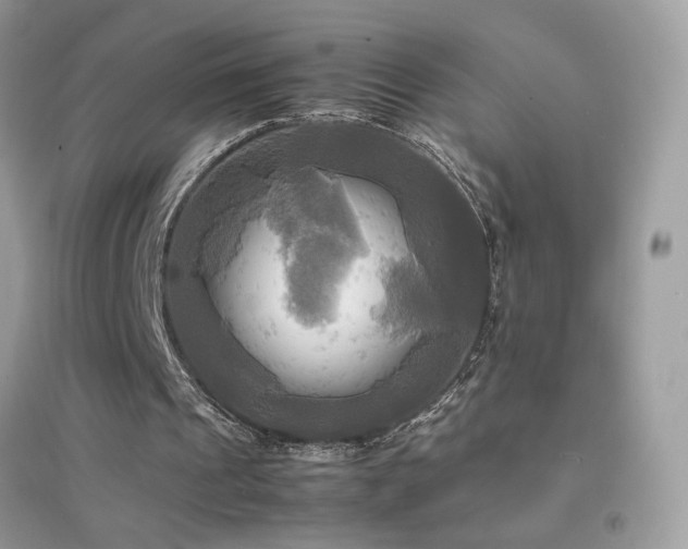 X0000095120241200712071246