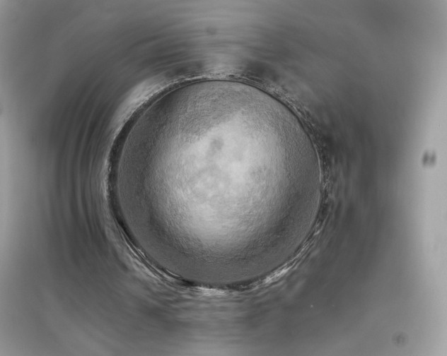 X0000095120242200712071246