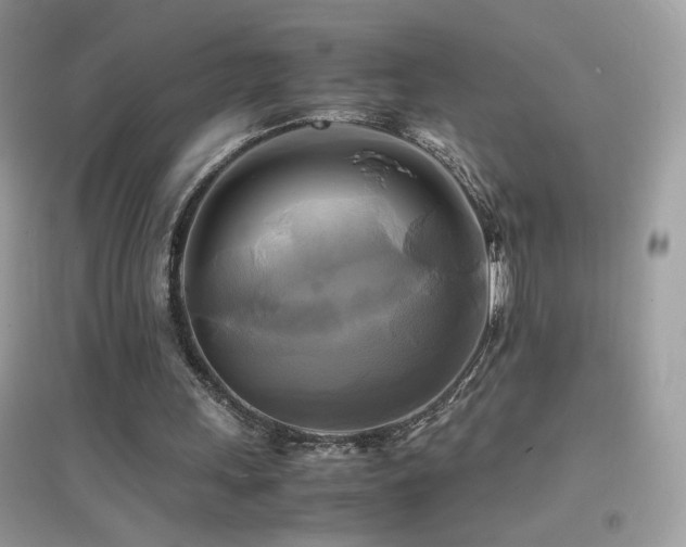 X0000095120243200712071246