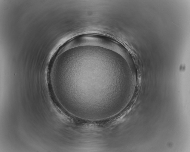 X0000095120244200712071246