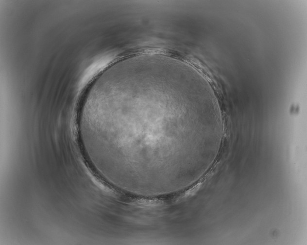 X0000095120245200712071246