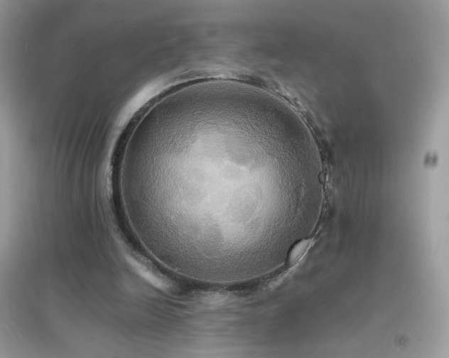 X0000095120246200712071246