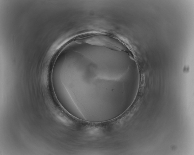 X0000095120247200712071246