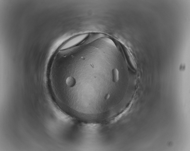 X0000095120248200712071246