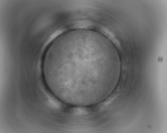 X0000095120250200712071246