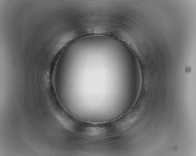 X0000095120251200712071246