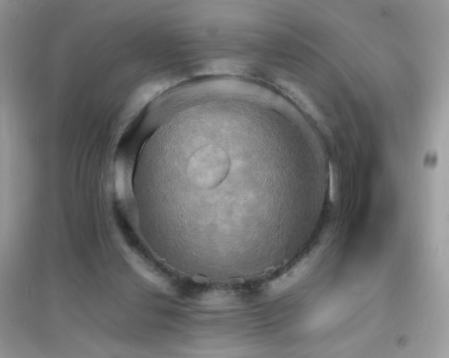 X0000095120252200712071246