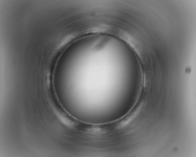 X0000095120253200712071246