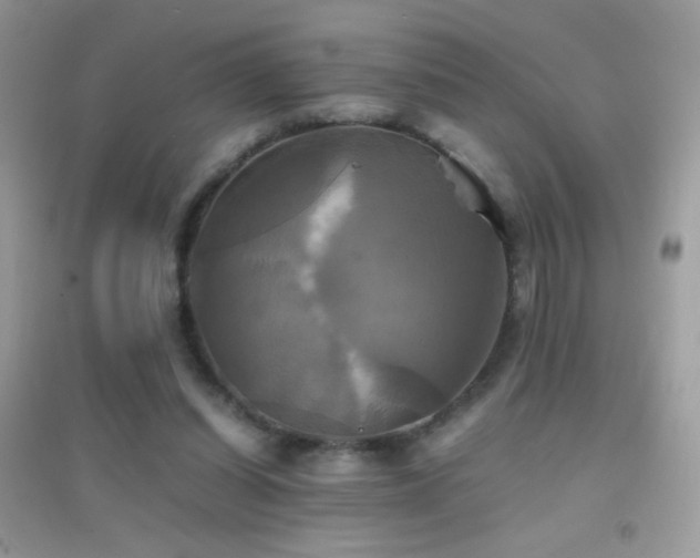 X0000095120254200712071246