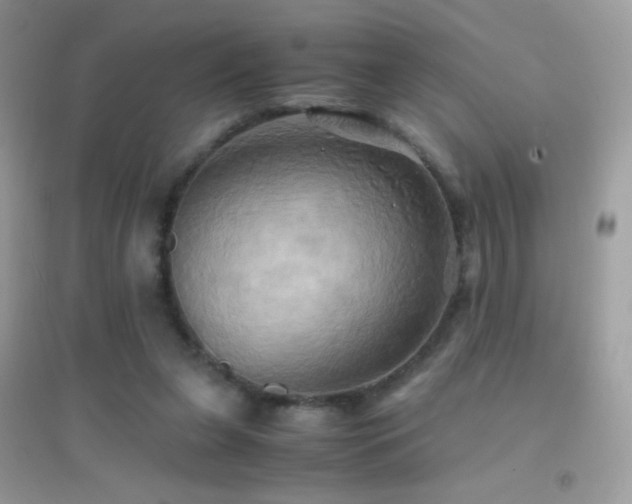 X0000095120255200712071246