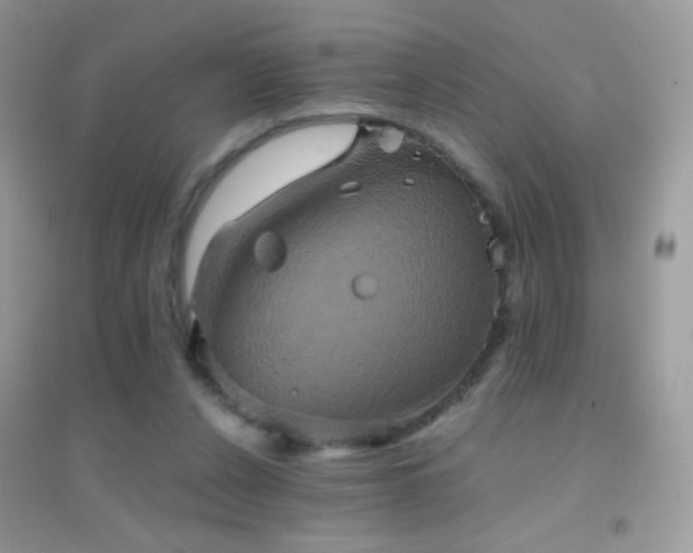 X0000095120256200712071246