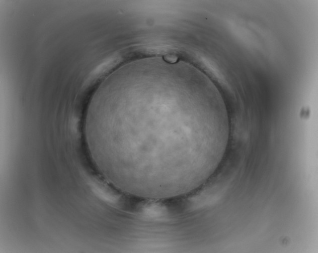 X0000095120258200712071246