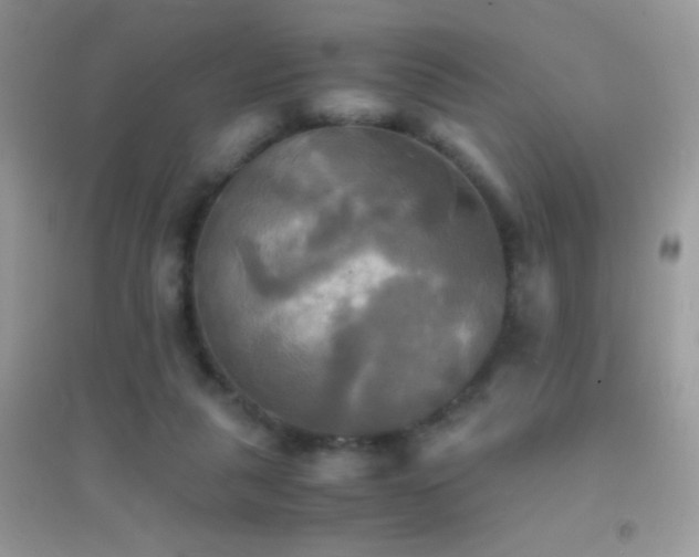 X0000095120259200712071246