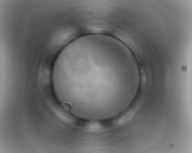 X0000095120262200712071246