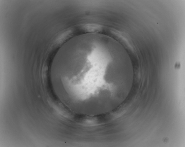 X0000095120263200712071246