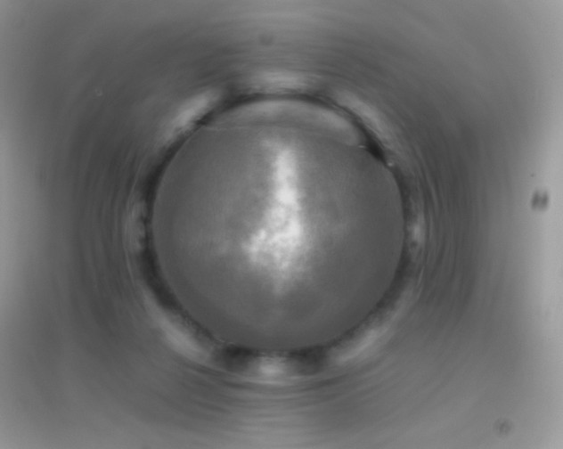 X0000095120264200712071246
