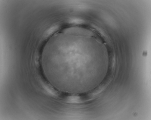 X0000095120266200712071246