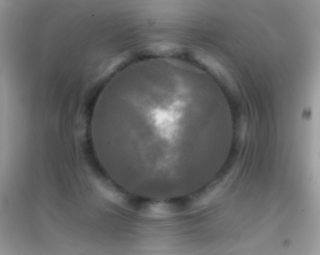 X0000095120268200712071246