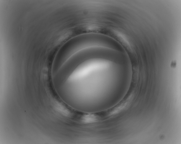 X0000095120269200712071246