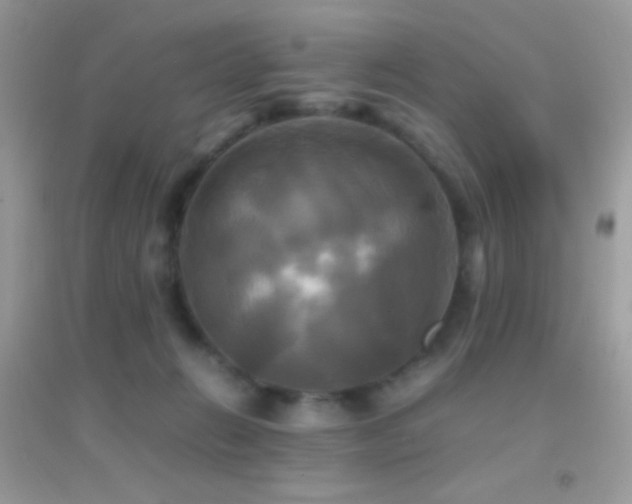 X0000095120270200712071246