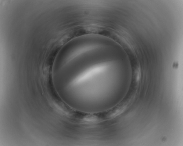X0000095120271200712071246