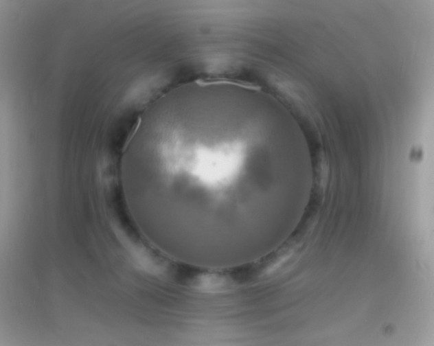 X0000095120272200712071247