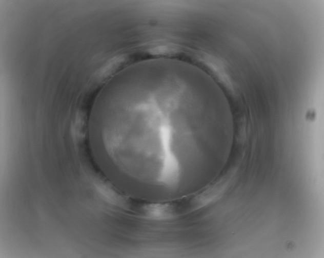 X0000095120273200712071247