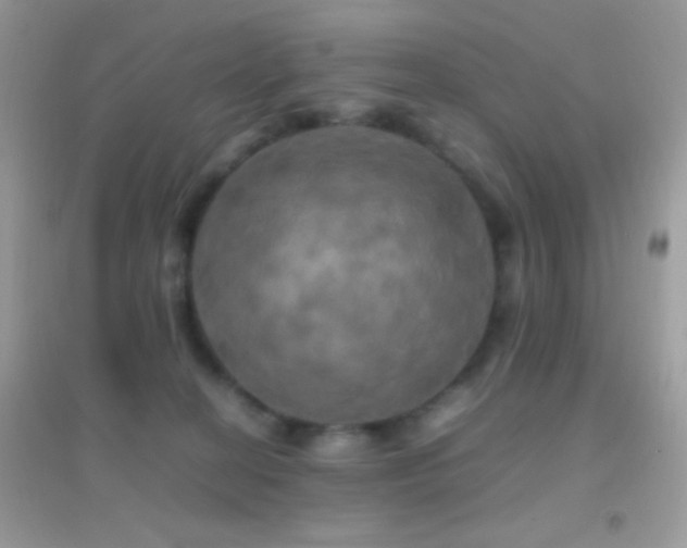 X0000095120274200712071247