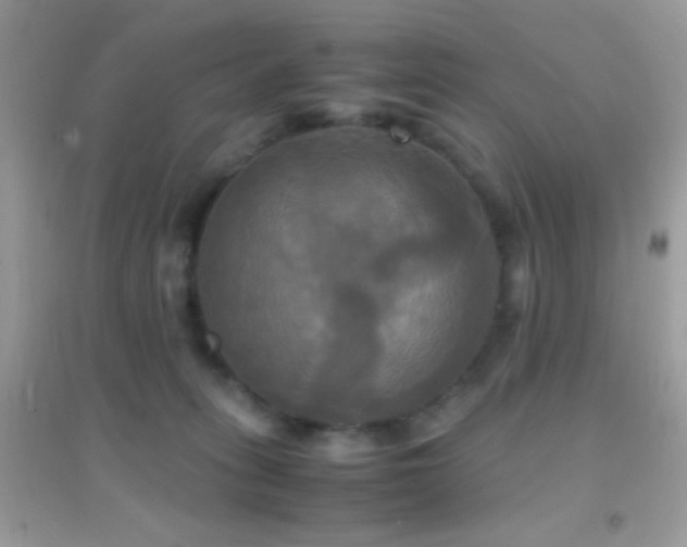 X0000095120275200712071247