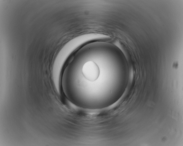 X0000095120276200712071247