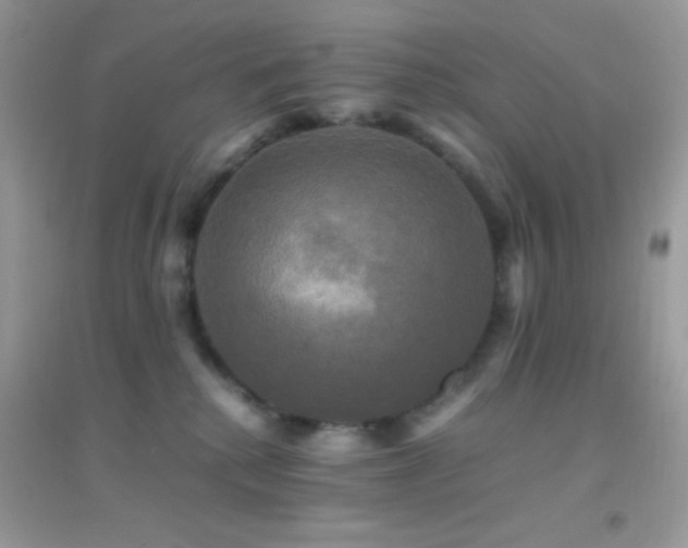 X0000095120280200712071247