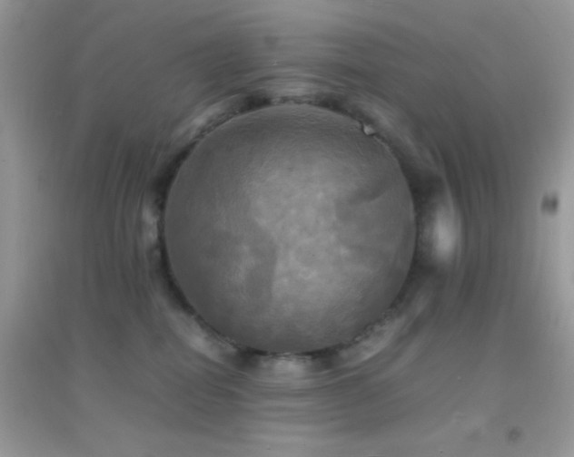 X0000095120282200712071247
