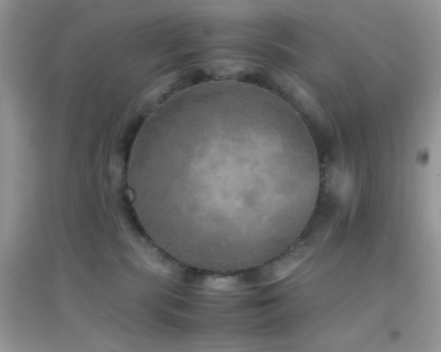 X0000095120283200712071247