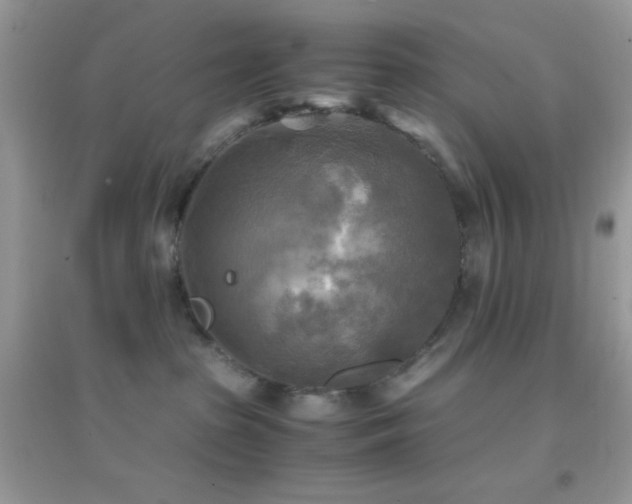 X0000095120285200712071247