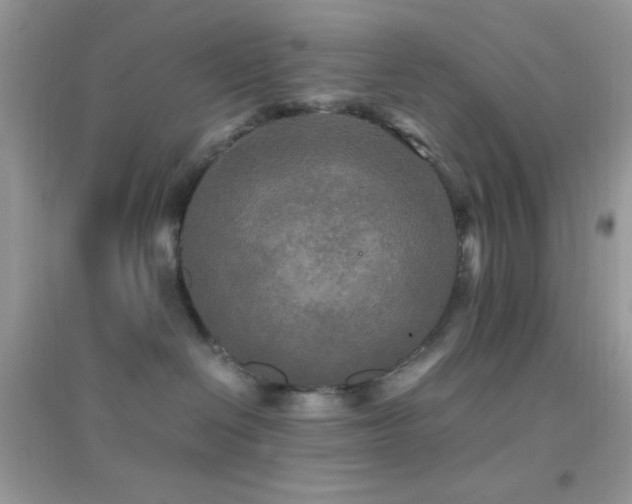 X0000095120286200712071247