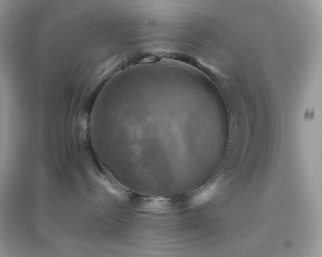 X0000095120288200712071247
