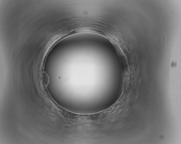 X0000095120289200712071246