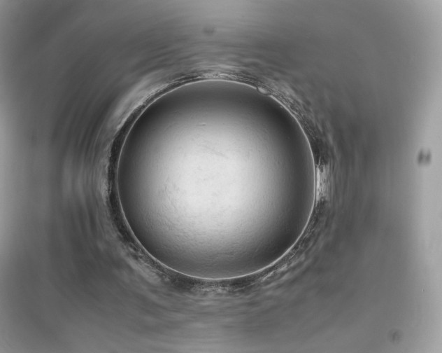 X0000095120291200712071246
