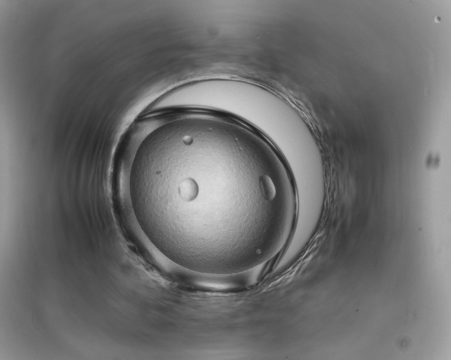 X0000095120292200712071246